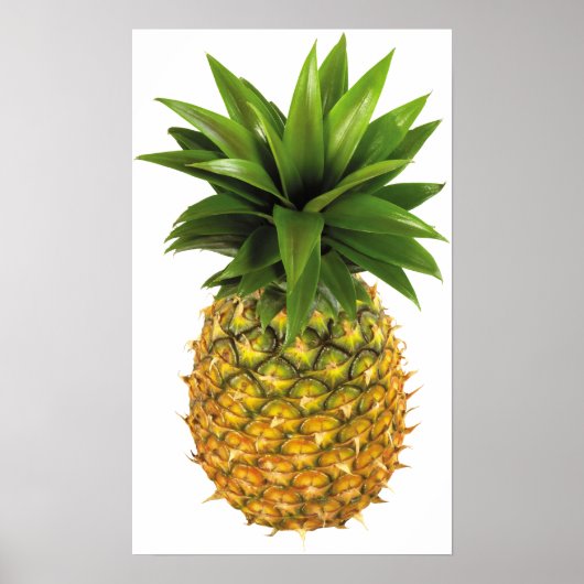 ananas poster (Voorkant)