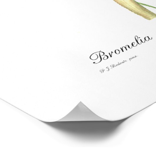 ananas poster (Hoek)