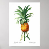 ananas poster (Voorkant)
