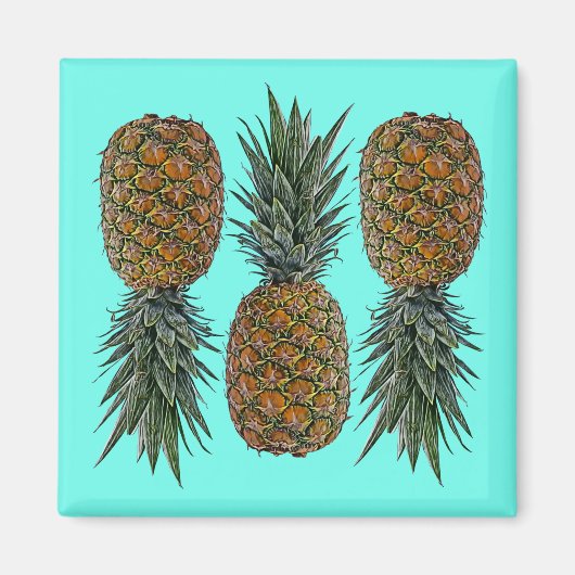 Ananas Retro Veganistisch en Vegetarisch Fruit Magneet (Voorkant)