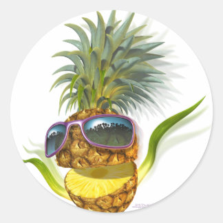 ananas ronde sticker