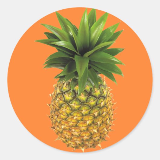 ananas ronde sticker (Voorkant)