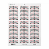 Ananas Roze Marmeren Wervel Modern Feestje Etiket (Full Sheet)
