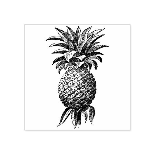  ananas stempel (Afrduk)