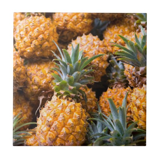 ananas tegeltje (Voorkant)