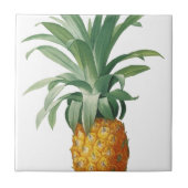 ananas tegeltje (Voorkant)