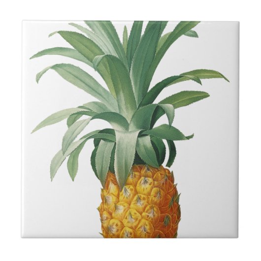 ananas tegeltje (Voorkant)