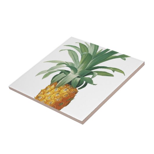ananas tegeltje (Zijkant)
