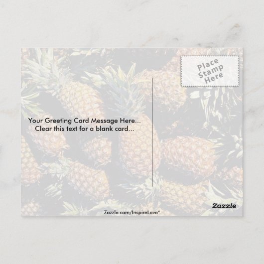 Ananas, Tulum, Mexico Briefkaart (Achterkant)