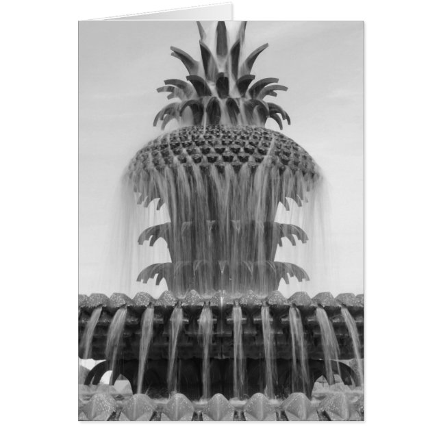 Ananas verzachten (Voorkant)