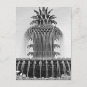 Ananas verzachten briefkaart