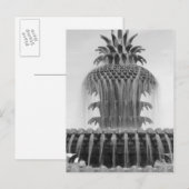 Ananas verzachten briefkaart (Voorkant / Achterkant)