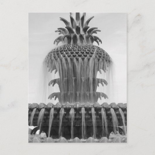 Ananas verzachten briefkaart (Voorkant)