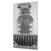 Ananas verzachten klembord (Links)