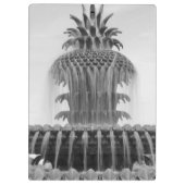 Ananas verzachten klembord (Achterkant)