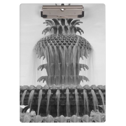 Ananas verzachten klembord (Voorkant)