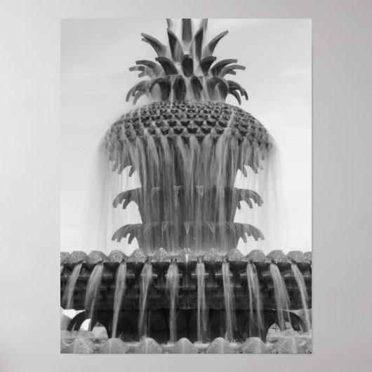 Ananas verzachten poster (Voorkant)