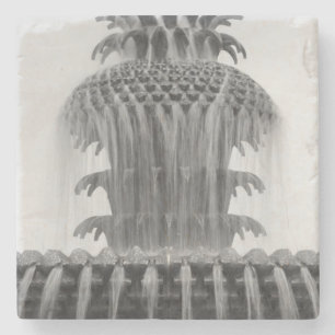 Ananas verzachten stenen onderzetter