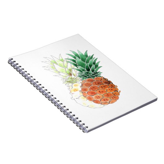 Ananas, waterverf. notitieboek (Rechterzijde)