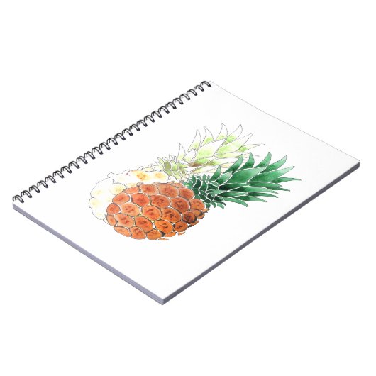 Ananas, waterverf. notitieboek (Linkerzijde)