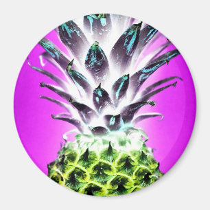 Ananasneonkleurige tropische vruchten Hawaiian Magneet
