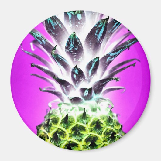 Ananasneonkleurige tropische vruchten Hawaiian Magneet (Voorkant)
