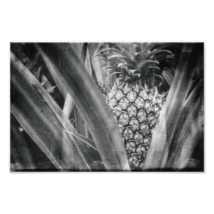 Ananassolchroombladeren en keukens van fruit foto afdruk