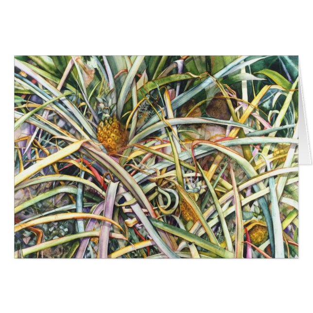 Ananassolvelden 2.95 (Voorkant Horizontaal)