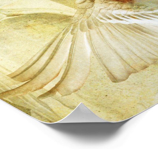 Ananchel Poster (Hoek)