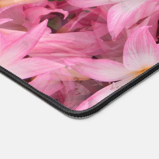 Anaryllis Galore.... Bureaumat (Hoek)