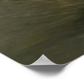 Anas platyrhynchos poster (Hoek)