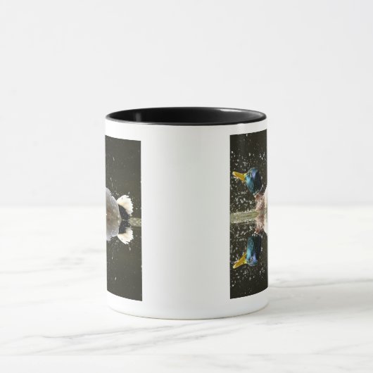 (Anas platyrhyncus),na afschudden van water Mok (Midden)