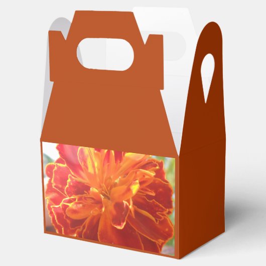 Anastaise Bedankdoosjes (Geopend)