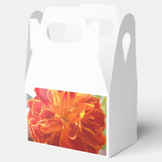 Anastaise Bedankdoosjes (Geopend)