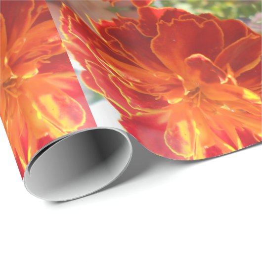 Anastaise Cadeaupapier (Rol Hoek)