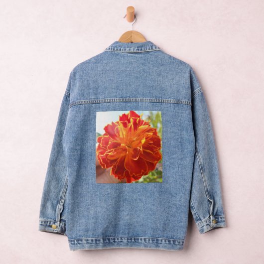 Anastaise Denim Jacket (Hangar)