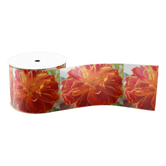 Anastaise Grosgrain Lint (Spoel)