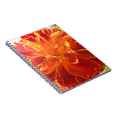 Anastaise Notitieboek (Rechterzijde)