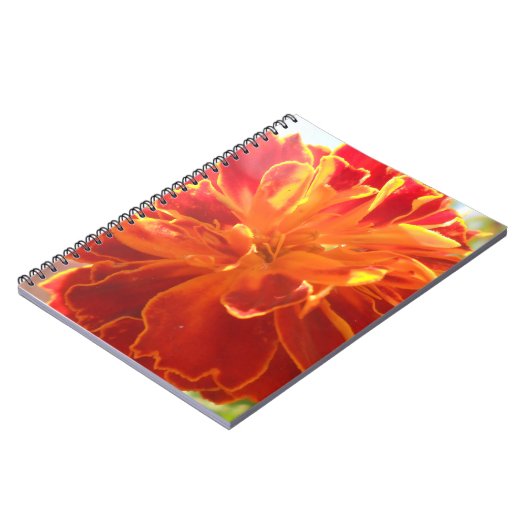 Anastaise Notitieboek (Linkerzijde)