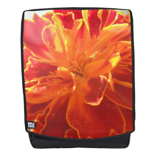 Anastaise Rugtassen (Voorkant)