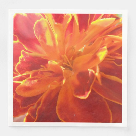 Anastaise Servet (Voorkant)