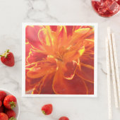 Anastaise Servet (Insitu)