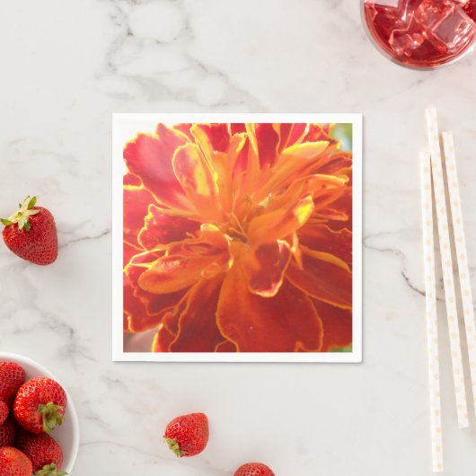 Anastaise Servetten (Insitu)