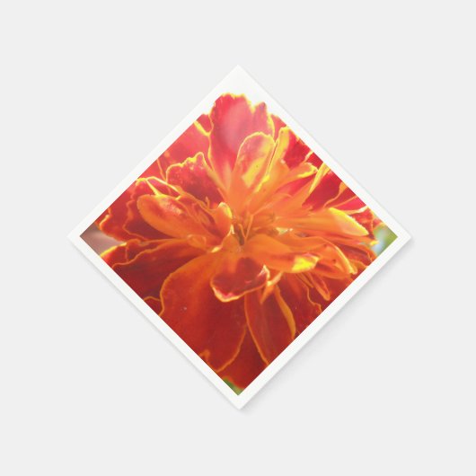 Anastaise Servetten (Hoek)