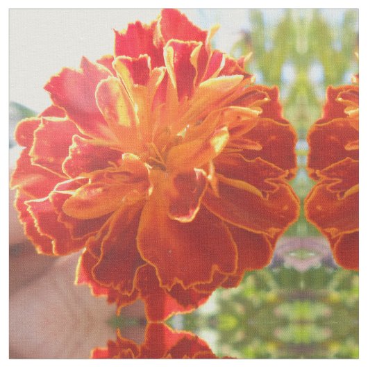 Anastaise Stof (Close Up)