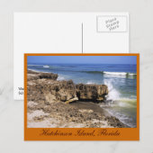 Anastasia Formation, Hutchinson Island, Florida Briefkaart (Voorkant / Achterkant)