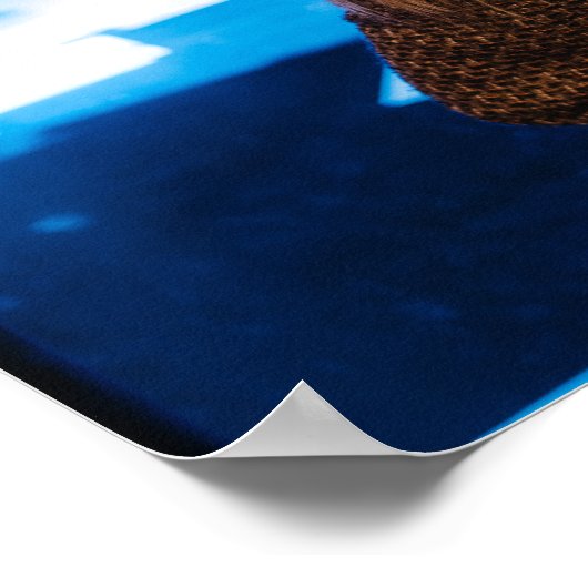 Anastasia in de vleugels poster (Hoek)