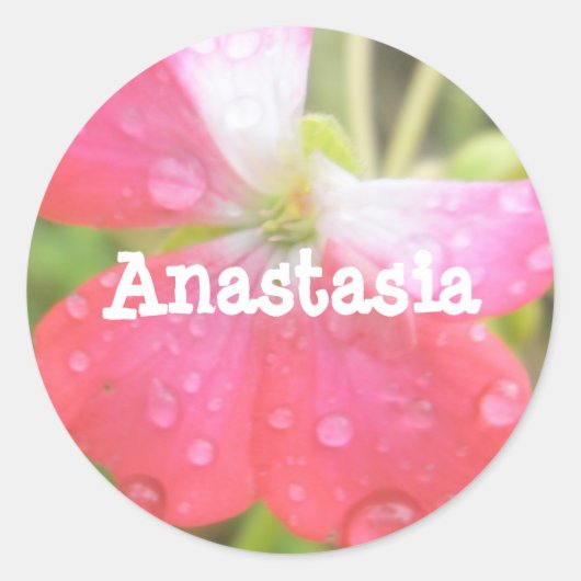 Anastasia meisjesnaam amaryllis stickers (Voorkant)