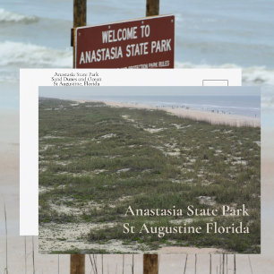 Anastasia State Park St Augustine FL Fotografisch Briefkaart