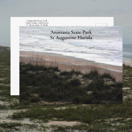 Anastasia State Park St Augustine Florida Reizen Briefkaart